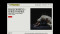 Paseo diseño web Villanos del flamenco